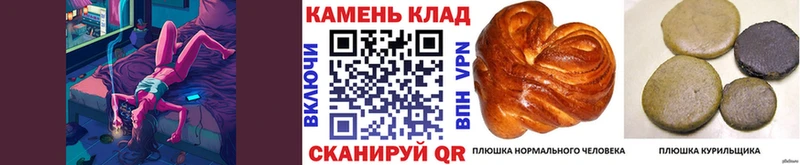 продажа наркотиков  Белозерск  ГАШ Ice-O-Lator 