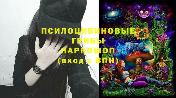 ГАЛЛЮЦИНОГЕННЫЕ ГРИБЫ Балахна
